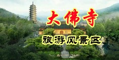 扒开校花的逼把大鸡巴插进去视频中国浙江-新昌大佛寺旅游风景区